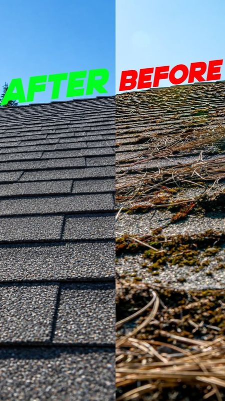 Roof Cleaning