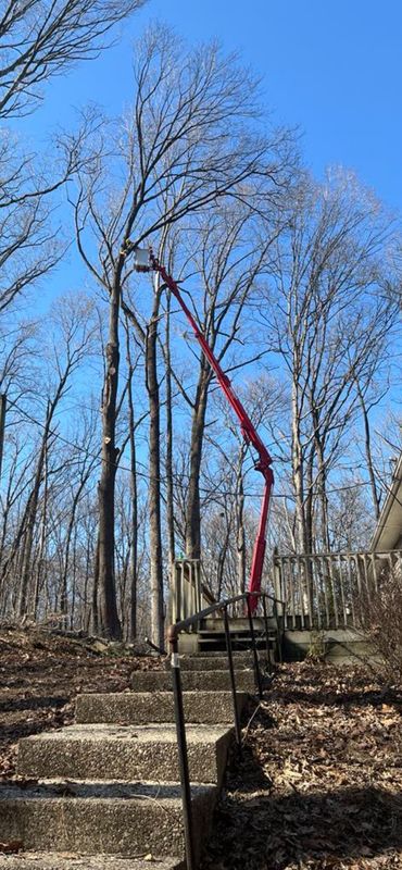 Tree Removal