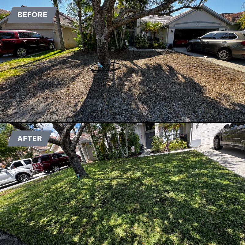Transforming Spaces: BH Lawn & Landscape's Front Yard Revival