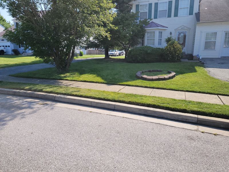 Beautiful Lawns