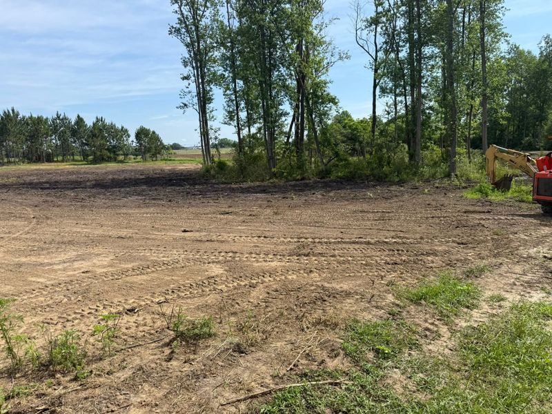Land Clearing