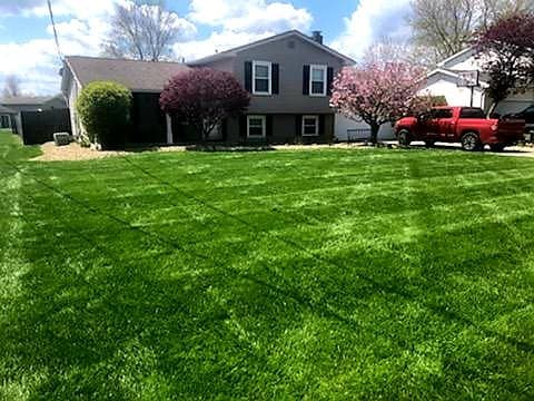 Landscaping
