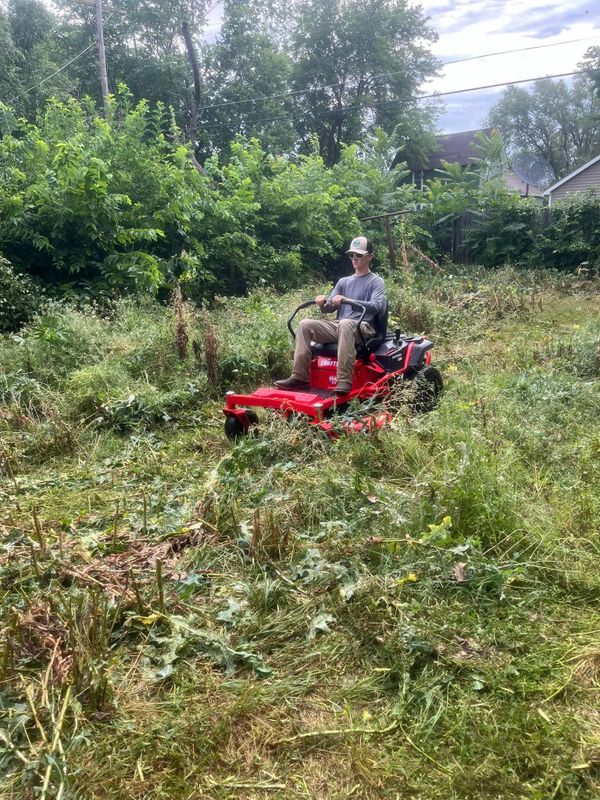 Lawn Maintenance