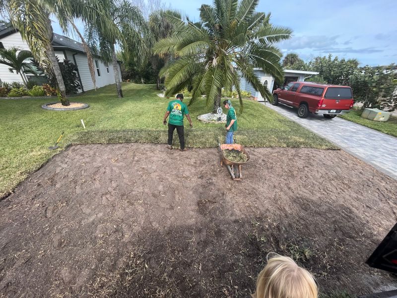 Landscape design and installation