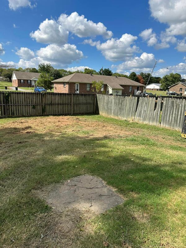 Tree Trimming & Removal