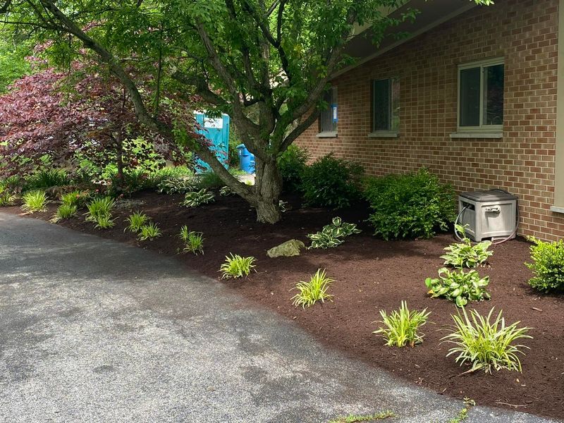 Mulch Installation