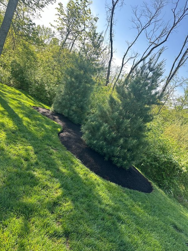 Landscape Maintenance