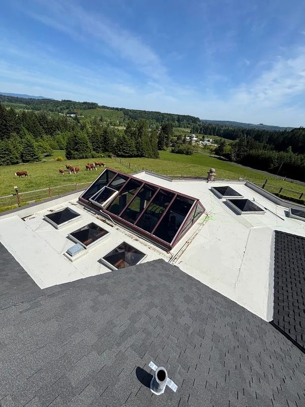 Roof Cleaning