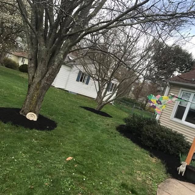 Mulch Installation