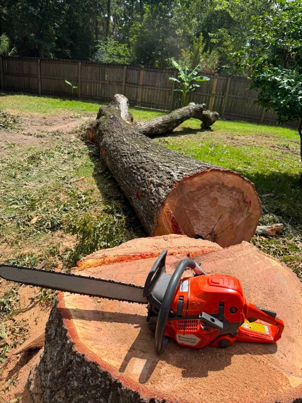 Tree Removal