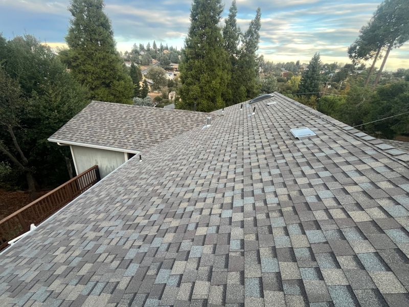 Solaris Pro Weather Wood