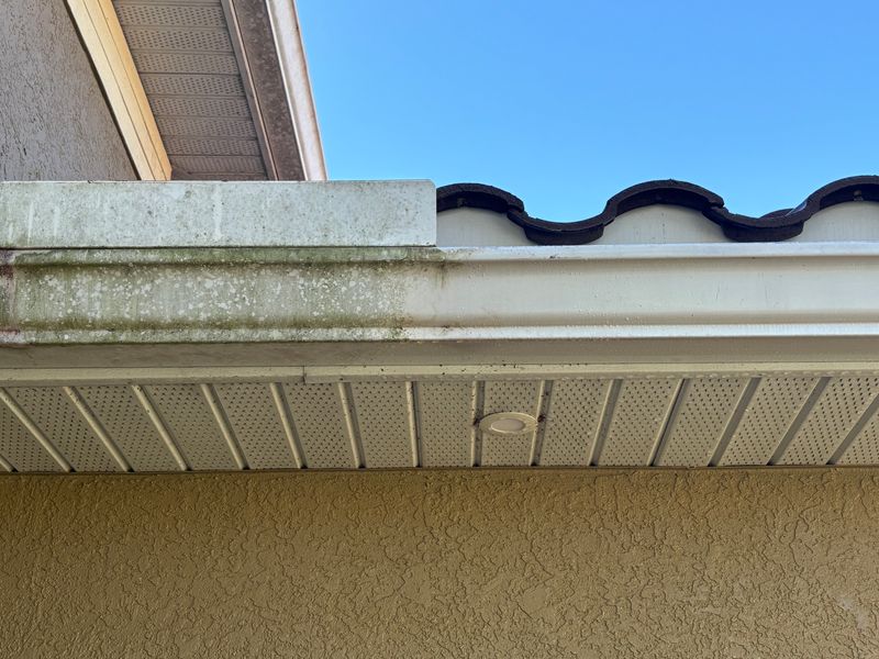 Gutter Cleaning