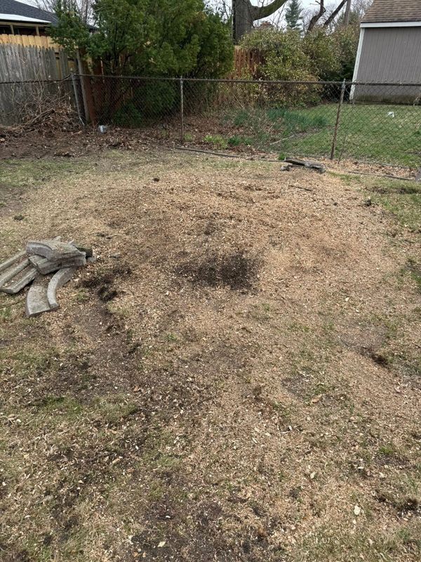 Stump Removal
