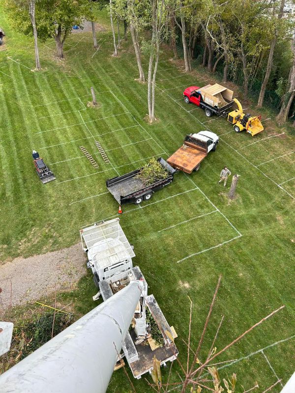 Land Clearing & Development