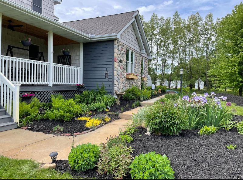 Tree & Shrub Care