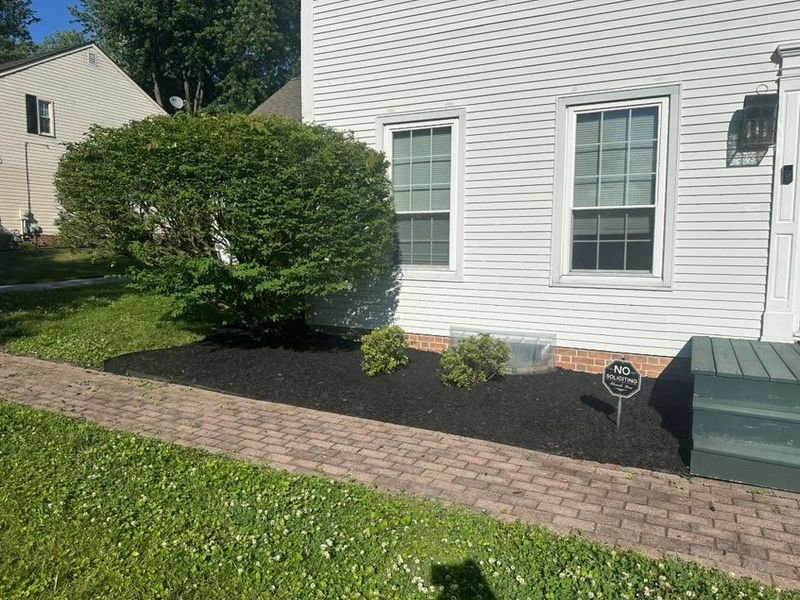 Tree and Shrub Care