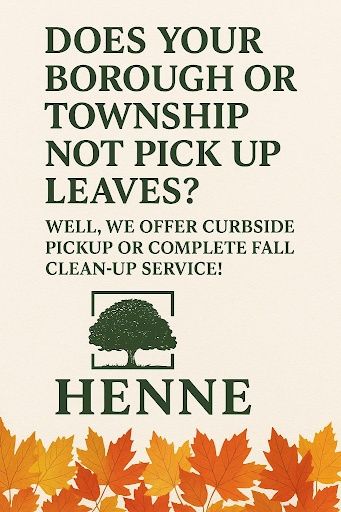 Fall Clean Up