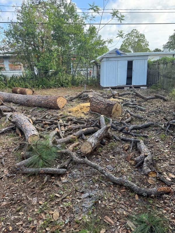 Yard Waste Hauling