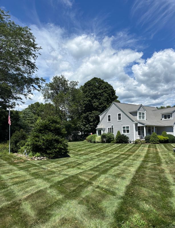 Premium Lawn Maintenance