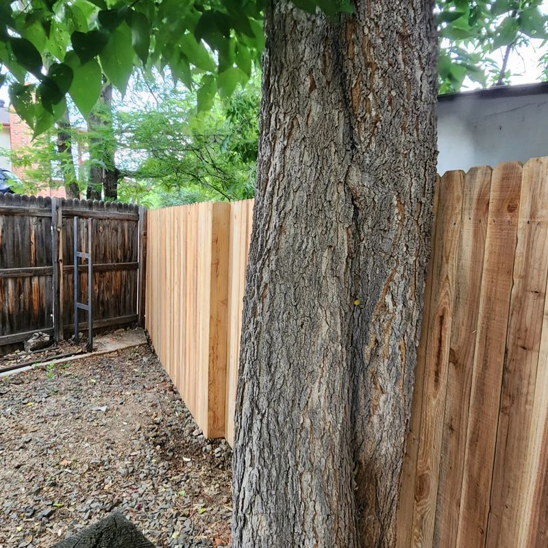 Fence Repair