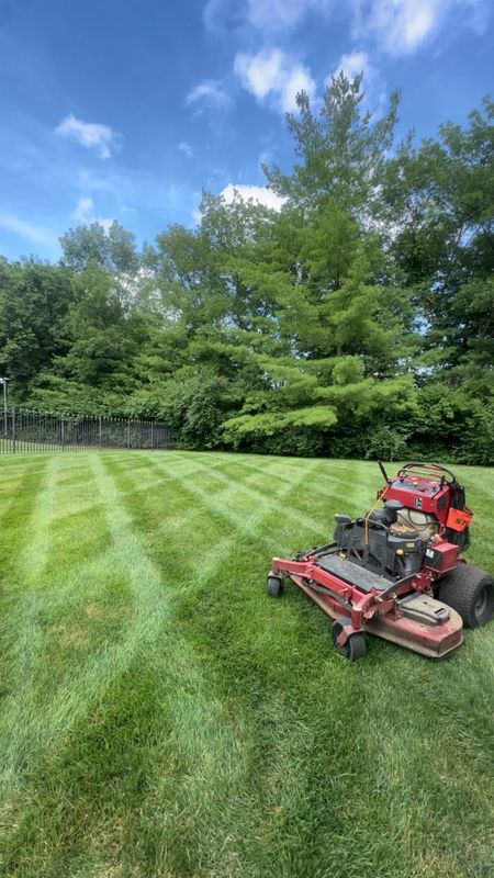 Lawn Mowing