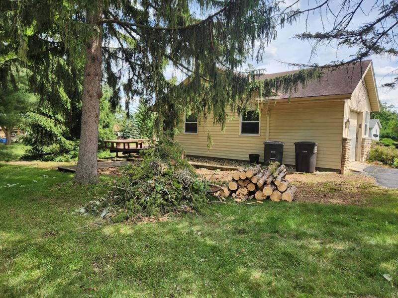 Tree Removal