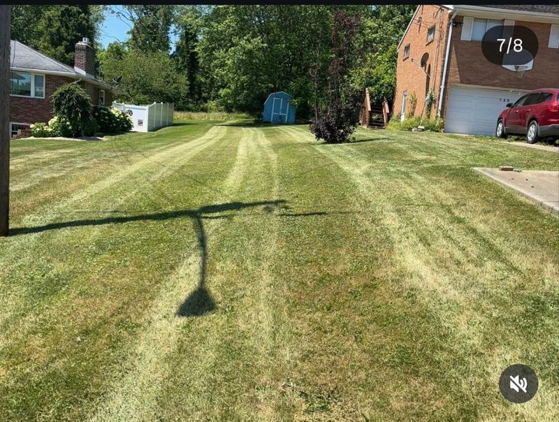 Lawn Care gallery