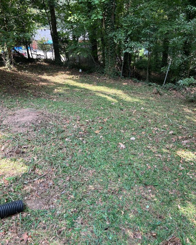 Lawn Maintenance