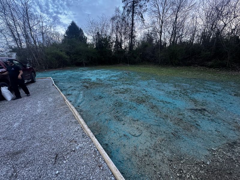 Hydroseeding