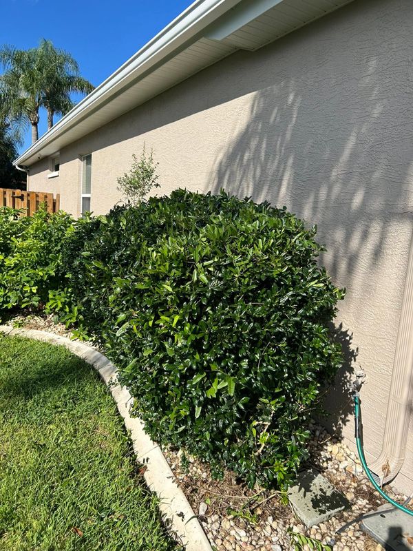 Garden Design and Installation