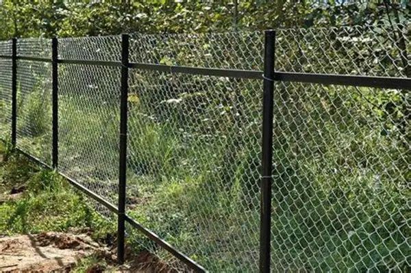 Chain Link Fence