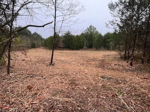 Land Clearing