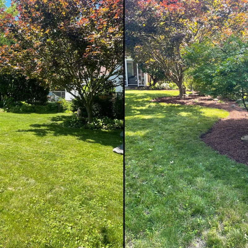 Lawn Maintenance