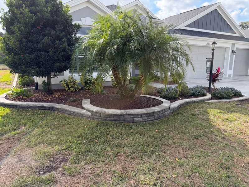 Palm Tree Pruning