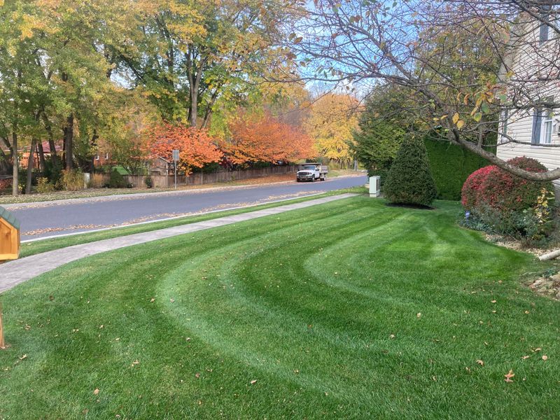 Lawn Maintenance