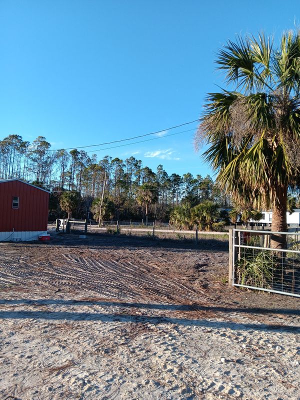 Tree Removal gallery