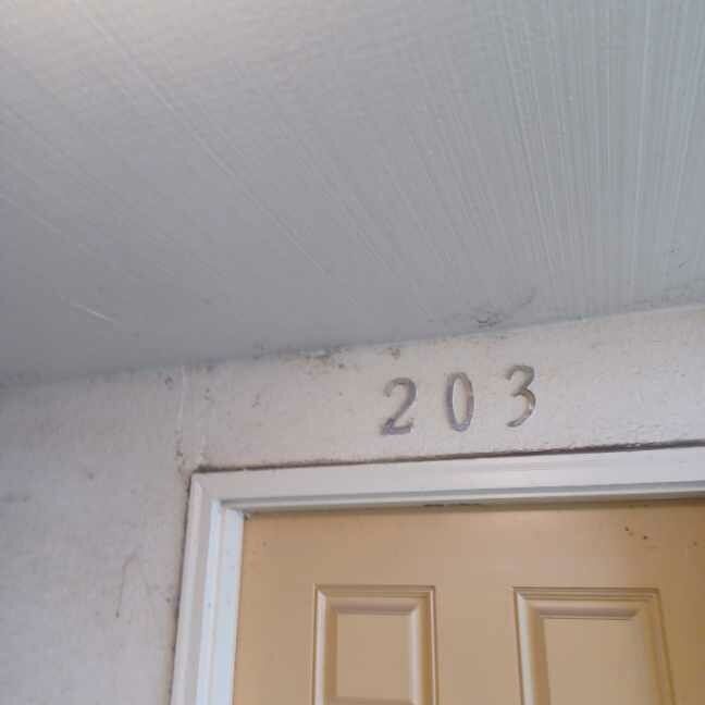 Pressure Washing