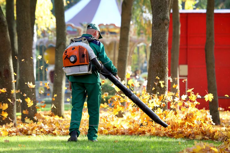 Fall Clean Up