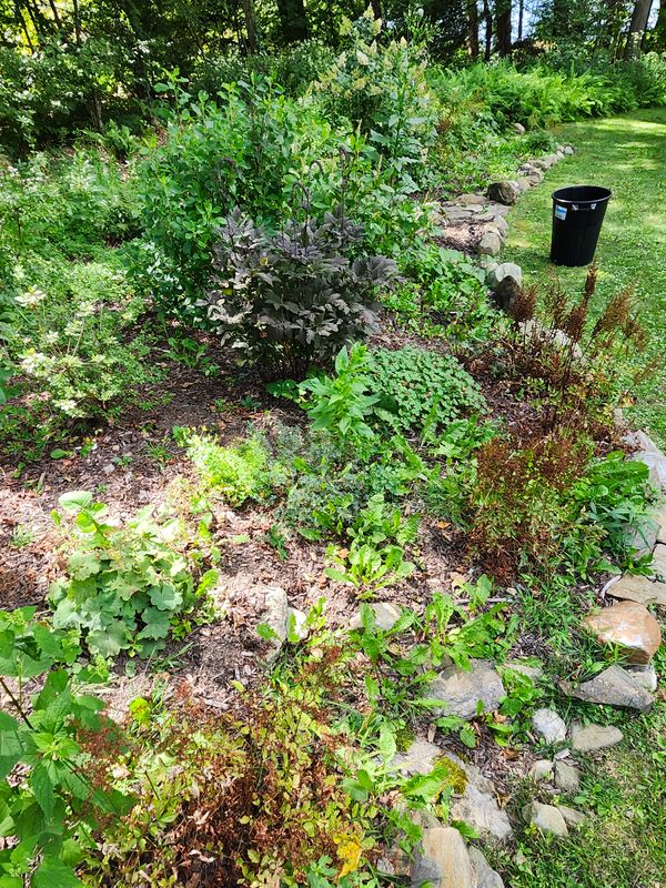 Muclhing & Weeding
