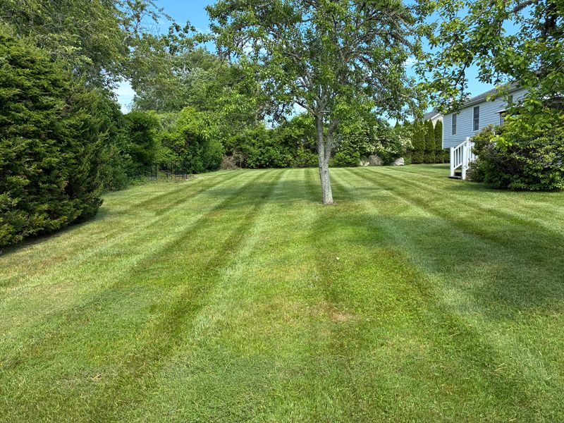 Mowing