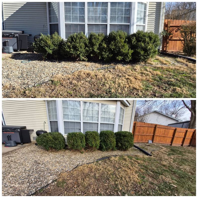 Seasonal Cleanups