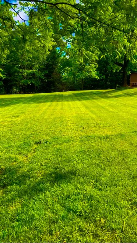Mowing