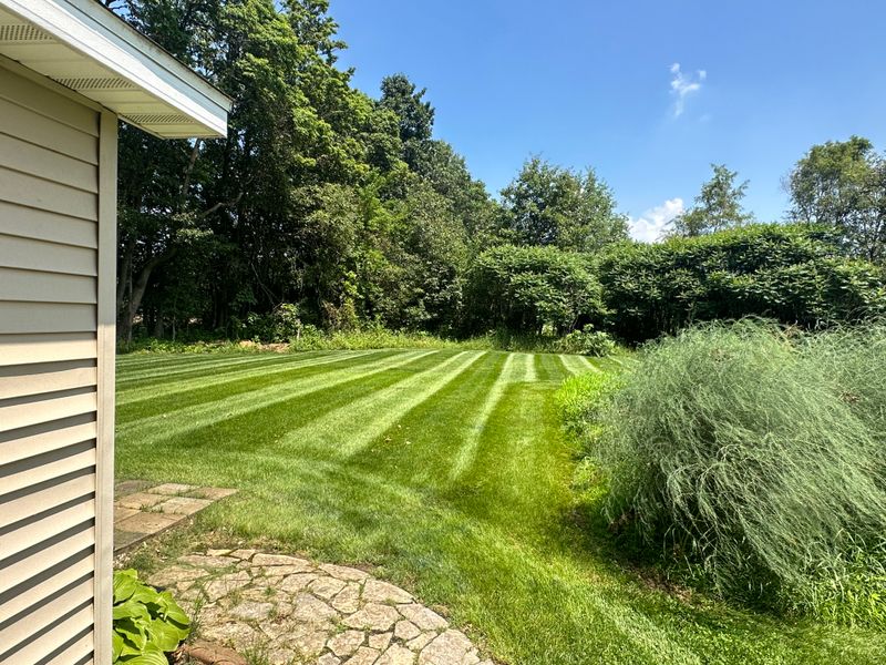 Mowing