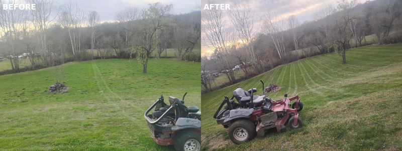 Lawn Maintenance