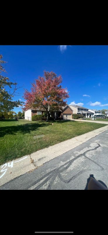 Fall Clean Up