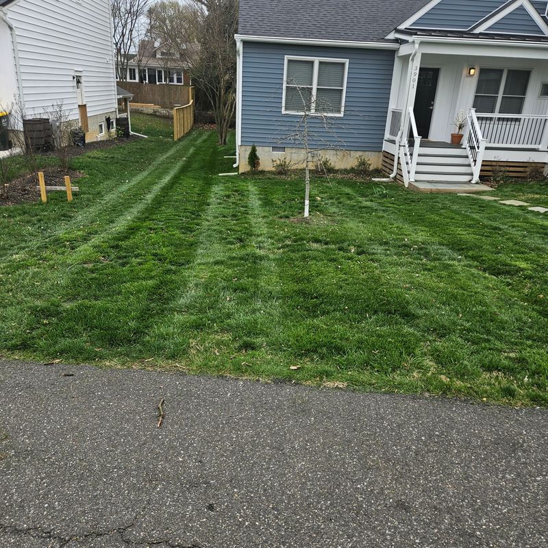 Lawn Maintenance