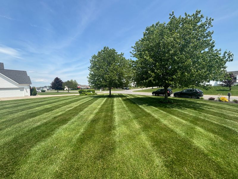 Lawn Maintenance