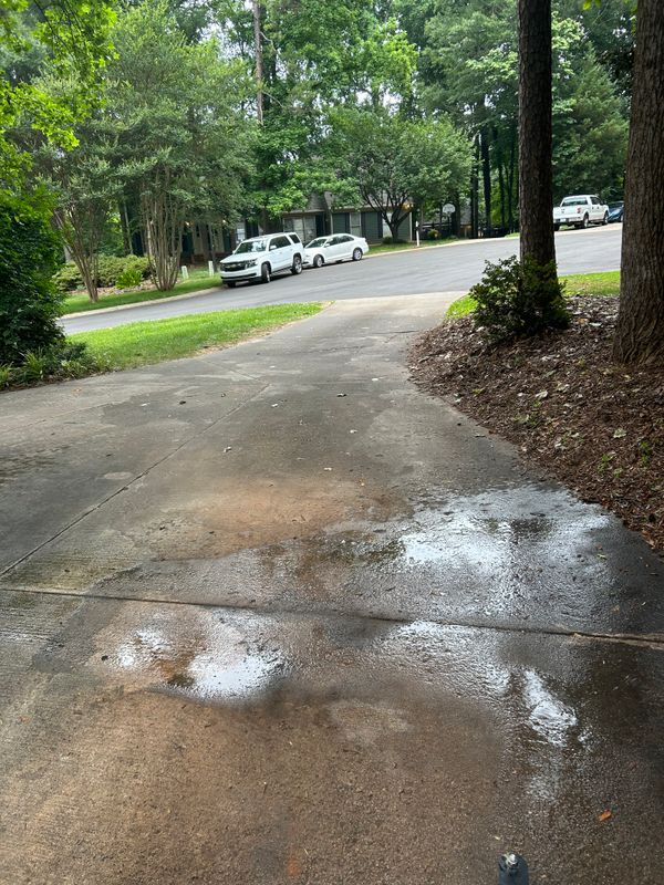 Driveway and Sidewalk Cleaning