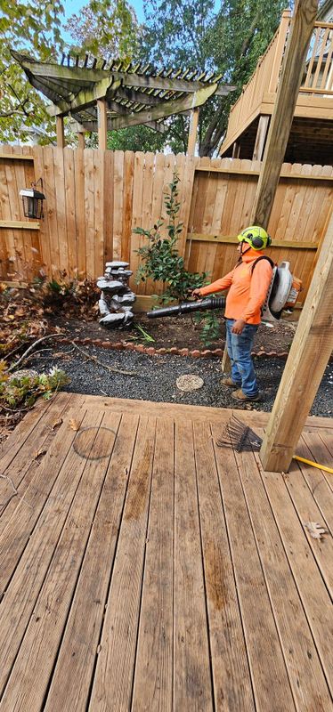 Shrub Trimming