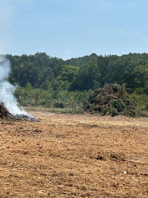 Land Clearing
